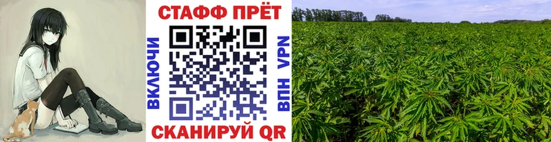 Где продают наркотики Жердевка Кокаин Мефедрон ГАШ СК hydra ТОР Бошки Шишки Галлюциногенные грибы