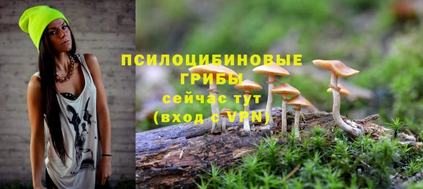 спиды Балахна
